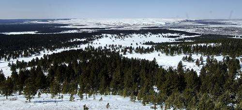 东北三宝是哪三宝