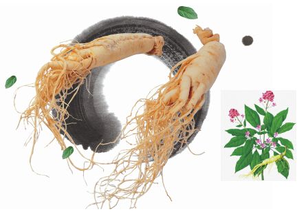 东北三宝是哪三宝