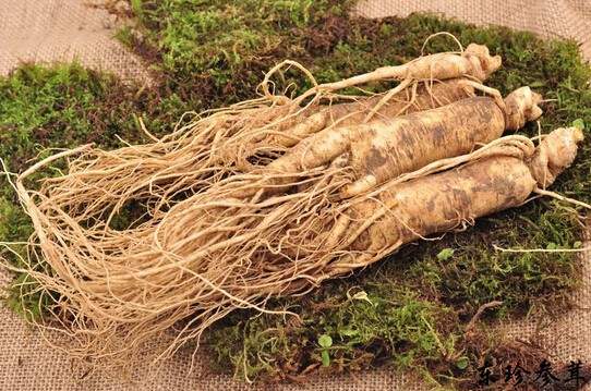 东北三宝是哪三宝