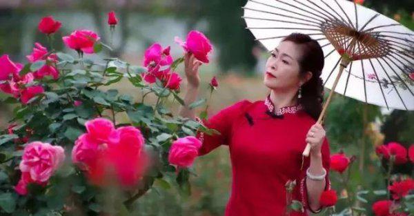 穿旗袍照相什么姿势好看