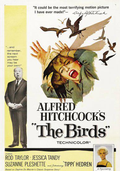 灾难片排行榜前十名电影