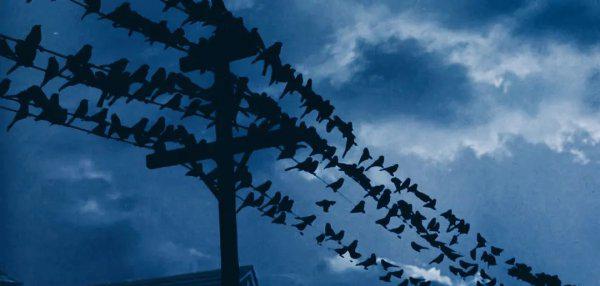 灾难片排行榜前十名电影