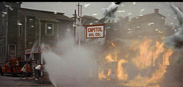 灾难片排行榜前十名电影