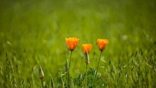 数码变焦和光学变焦的区别