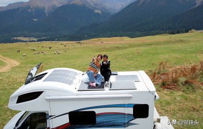 抖音张白鸽故事是真的吗 河南网红张白鸽个人资料