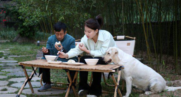 抖音张白鸽故事是真的吗