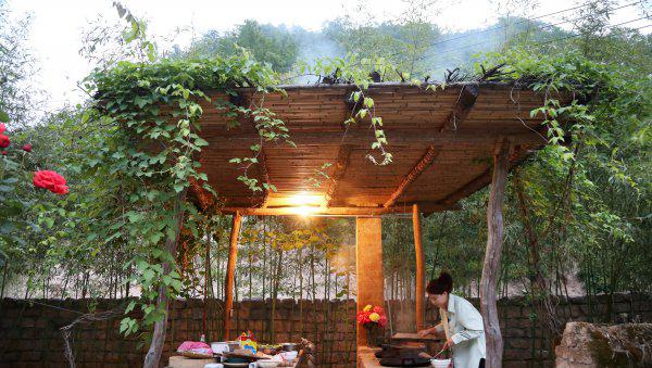 抖音张白鸽故事是真的吗