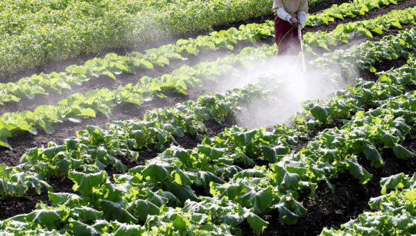 小苏打和白醋哪个杀虫效果好