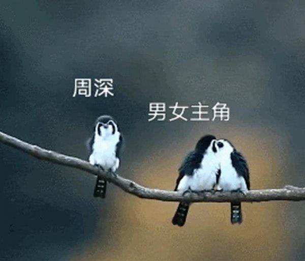 电视剧ost是什么意思
