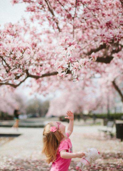 楚辞中最唯美的女孩名字