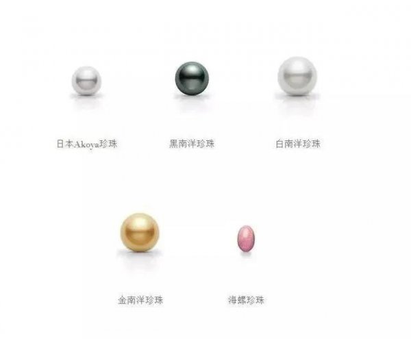 珍珠项链适合多大年龄的人戴