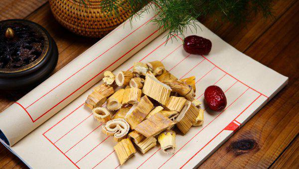 芦根是什么植物的根图片