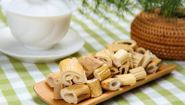 芦根是什么植物的根图片