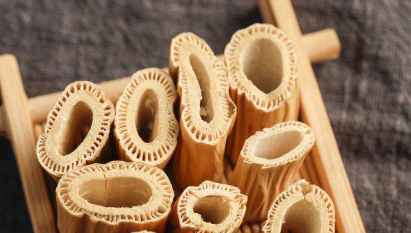 芦根是什么植物的根图片