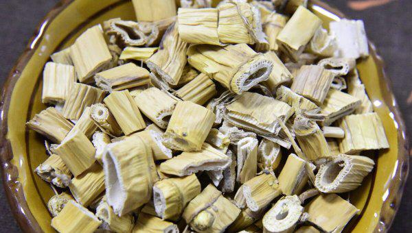 芦根是什么植物的根图片