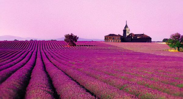 全球最美10个旅游胜地