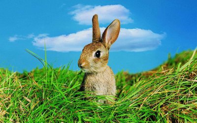 为什么接吻时要闭上眼 接吻时闭上眼睛的科学解释