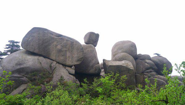 挺进大别山的大别山在哪里