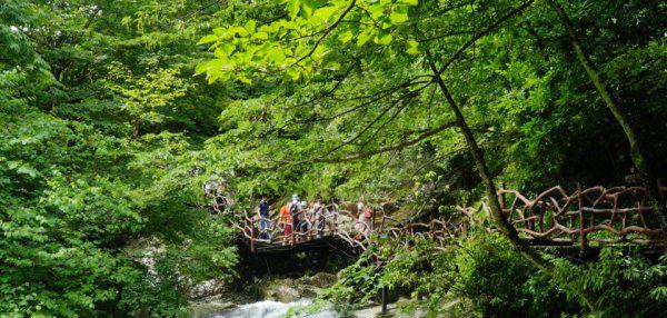 挺进大别山的大别山在哪里