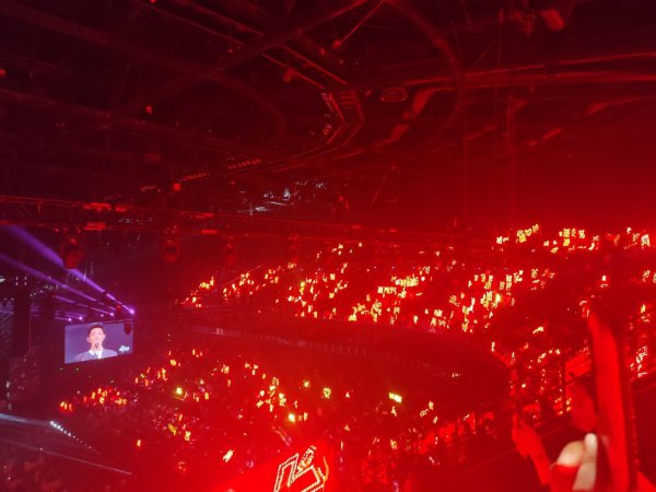 肖战应援色是什么颜色