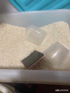 手机掉在水里面了该怎么处理方法 简单几招教你拯救它