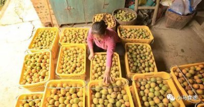 广西特产有哪些土特产 广西最出名的特色美食有哪些