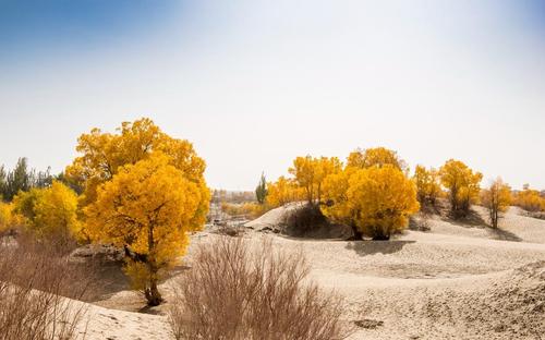 和田地区有几个县几个市