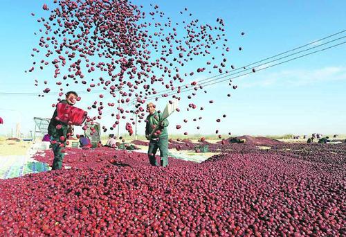 和田地区有几个县几个市