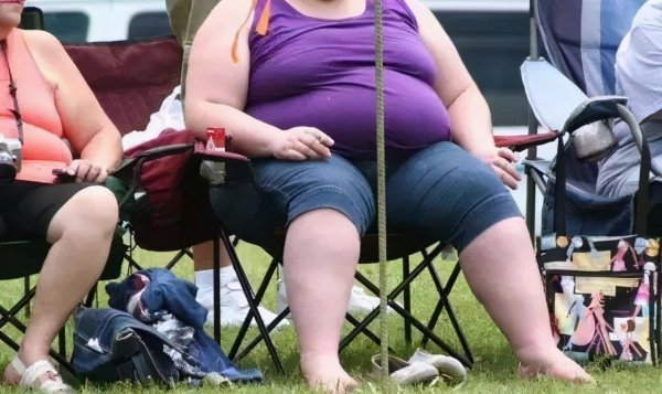 牛的四个胃分别叫什么