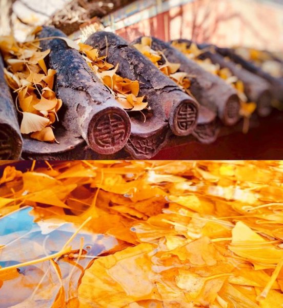 北京红螺寺太灵了