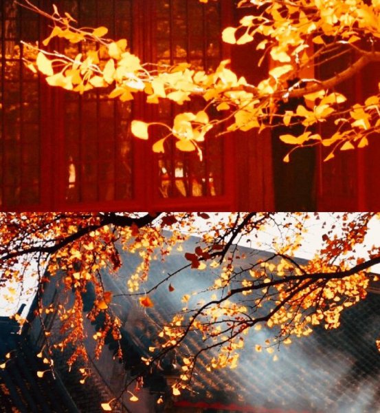 北京红螺寺太灵了