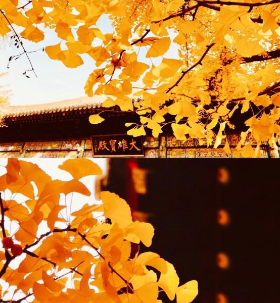 北京红螺寺太灵了