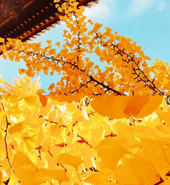 北京红螺寺太灵了