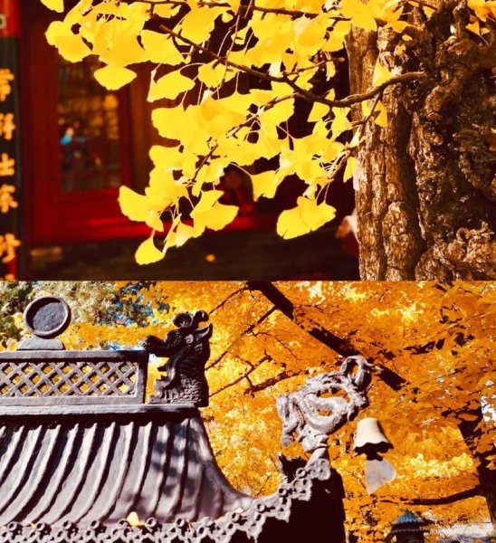 北京红螺寺太灵了