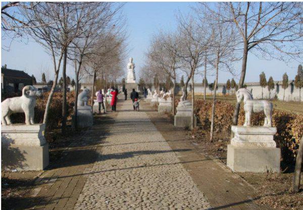 后代脉学之宗是谁