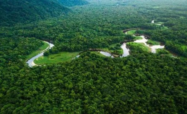 地球之肺是指什么