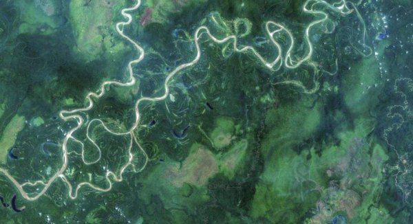 地球之肺是指什么