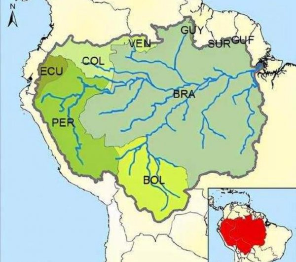 地球之肺是指什么