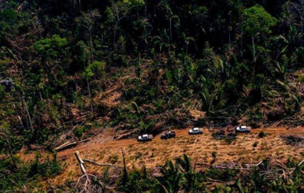 地球之肺是指什么