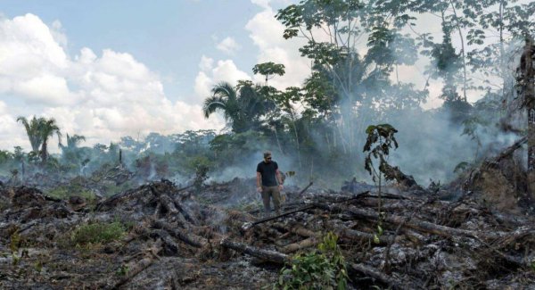 地球之肺是指什么