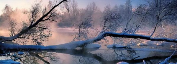 元朝强大到了什么程度