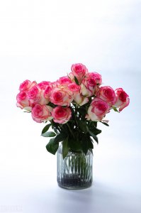 27条简单实在的人生建议 简单生活的看法语录