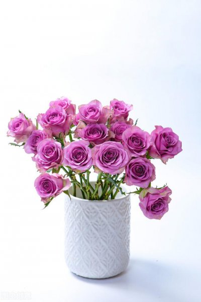 27条简单实在的人生建议