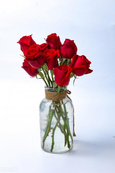 27条简单实在的人生建议