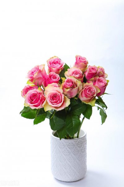 27条简单实在的人生建议