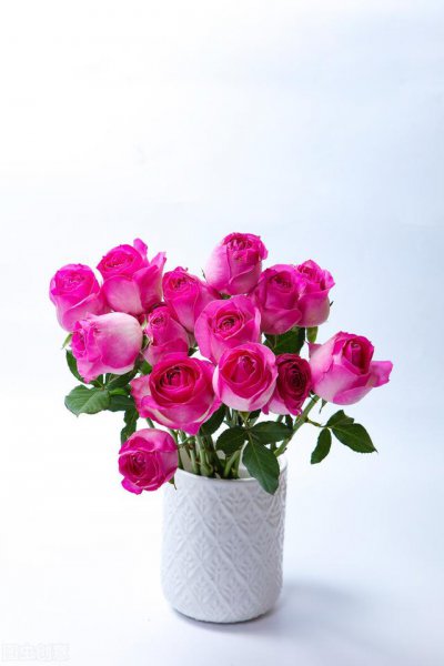 27条简单实在的人生建议