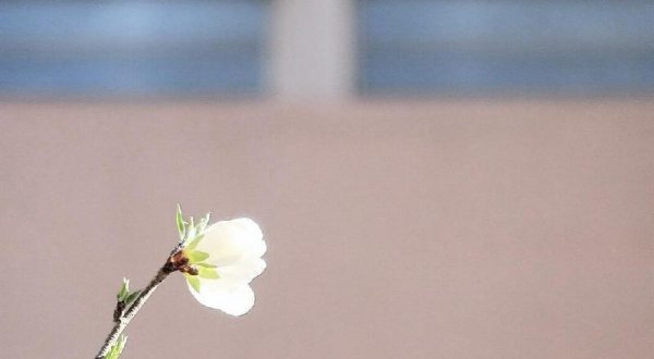 孤独是人生的常态很多路都要一个人走