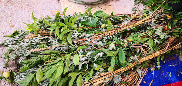 端午节象征的美好寓意