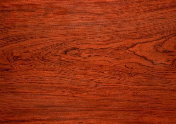 世界上最贵的木材排名价格表