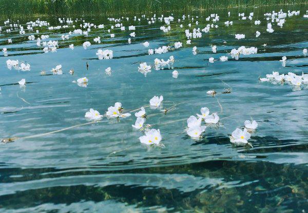 泸沽湖海拔高度多少米